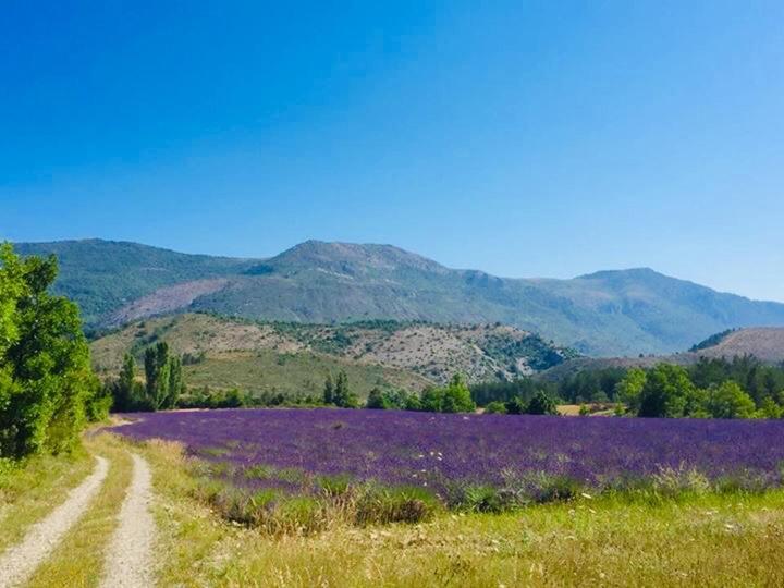 Le Moulin De La Viorne, Gite Avec Piscine Au Coeur De La Nature En Haute-Provence Les Omergues Exterior photo
